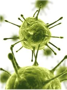 Green Alert: NXIVM Village herpes threat getting worse!