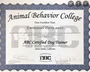 Lauren worked like a dog to get various certificates.