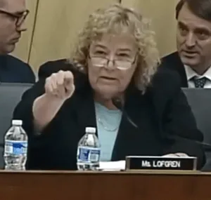 lofgren bigot 3