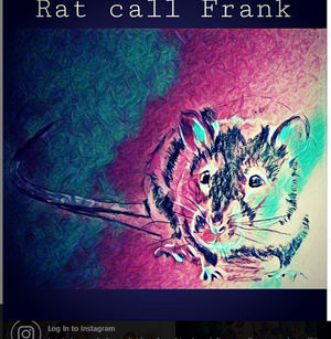 MK10ART's painting of 'The Rat."