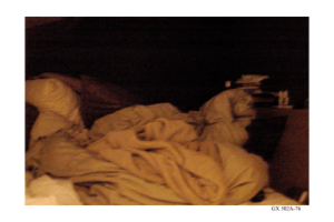 8 hale bed