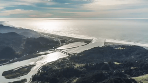 gold beach swami