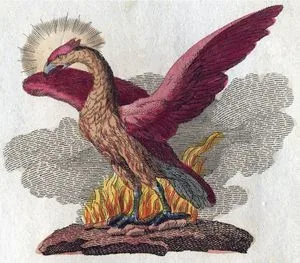 In Ancient Greek folklore, a phoenix is a long-lived bird that regenerates or is born again. Associated with the sun, a phoenix obtains new life by arising from the ashes of its predecessor. China obtains its new life by enslaving its people. [The Phoenix By Bertuch-fabelwesen.]