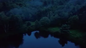 I came to the pond near to where her body was found.