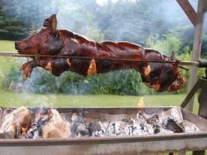 This is pork in its highest form—unapologetic, unpretentious, and undeniably spectacular.