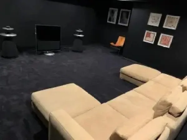 Sara Bronfman media room black carpet black walls