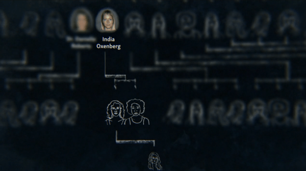 Seduced - India's slaves organogram