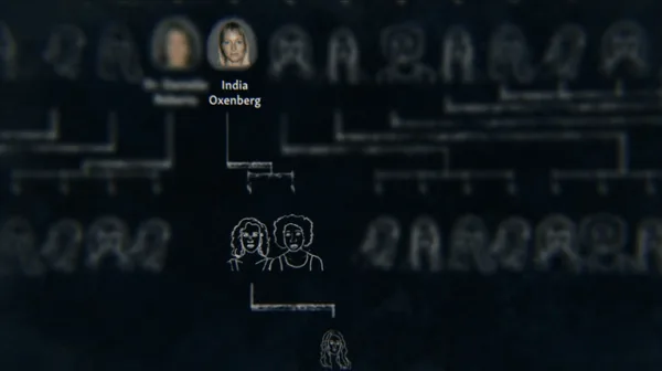 Seduced - India's slaves organogram