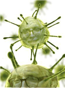Human alphaherpesvirus 1 and Human alphaherpesvirus 2, are two members of the human Herpesviridae family, a set of new viruses that produce viral infections in the majority of humans. Both HSV-1 and HSV-2 are