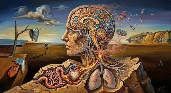 brain