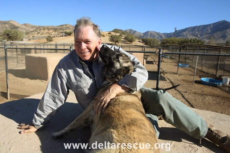 Leo Grillo, Founder of DELTA Rescue, May Die in Custody, Doctor Warns!