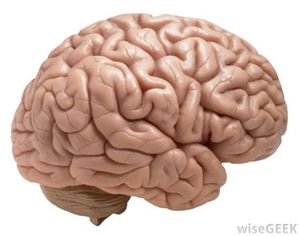 Keith Raniere is said to be the smartest man in the world.
His brain is so powerful it can set off radar detectors, he told followers.