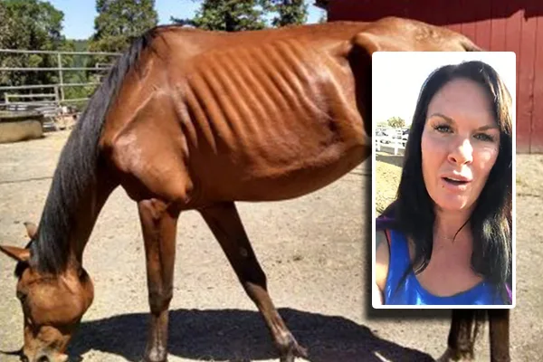 Guest View: Defending HiCaliber: ‘WE MUST HELP MICHELLE KNUTTILA GET BACK TO HORSE RESCUE!’