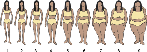 body-size-fat-size-zero 1