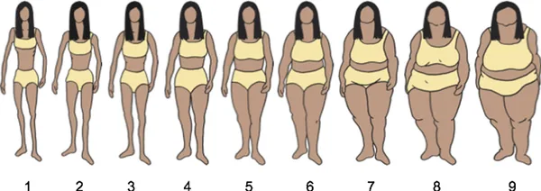 body-size-fat-size-zero 1