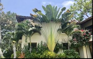 raniere villa mexico 3
