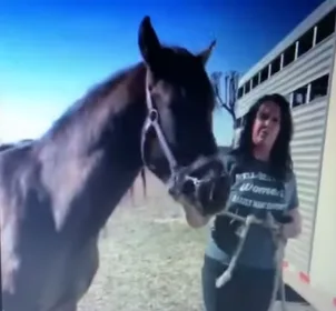 Guest View: HiCaliber’s Michelle Knutilla abused a horse named Galle