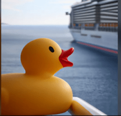 duck ship