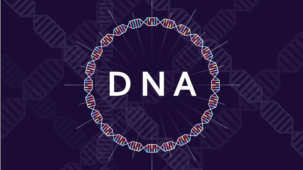 Amanda Knox’s DNA Was All Over Crime Scene
