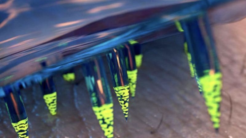 Are Implants Part of Your Future? As Governments and Bill Gates Seek to Kill Two Birds With One Stone – ID and Coronavirus Tracking