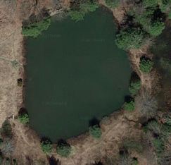 Gina's body was found near this pond.