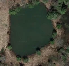 Gina's body was found near this pond.