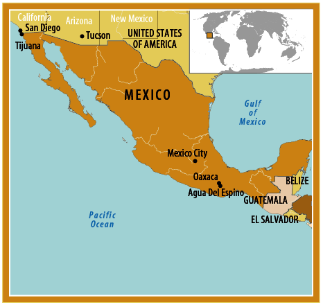 10% readers from Mexico; 10% de los lectores de México