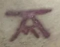 brand 9
