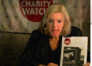 charity watch