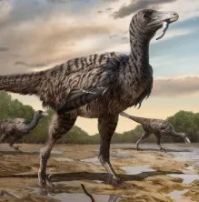 velocraptor animals dinosaurs
