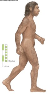 bangkok caveman neandrathal