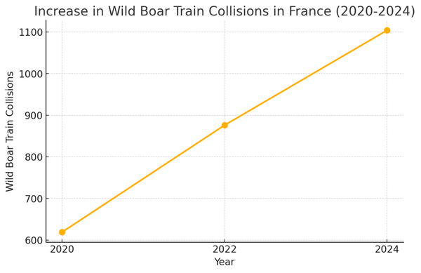 In 2020, there were 619 wild boar train collisions in France. By 2022 there were 876 and in 2024 there were 1,104.