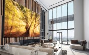 guo bannon Samsung_The_Wall
