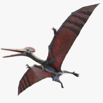 Pterosaur in flight.