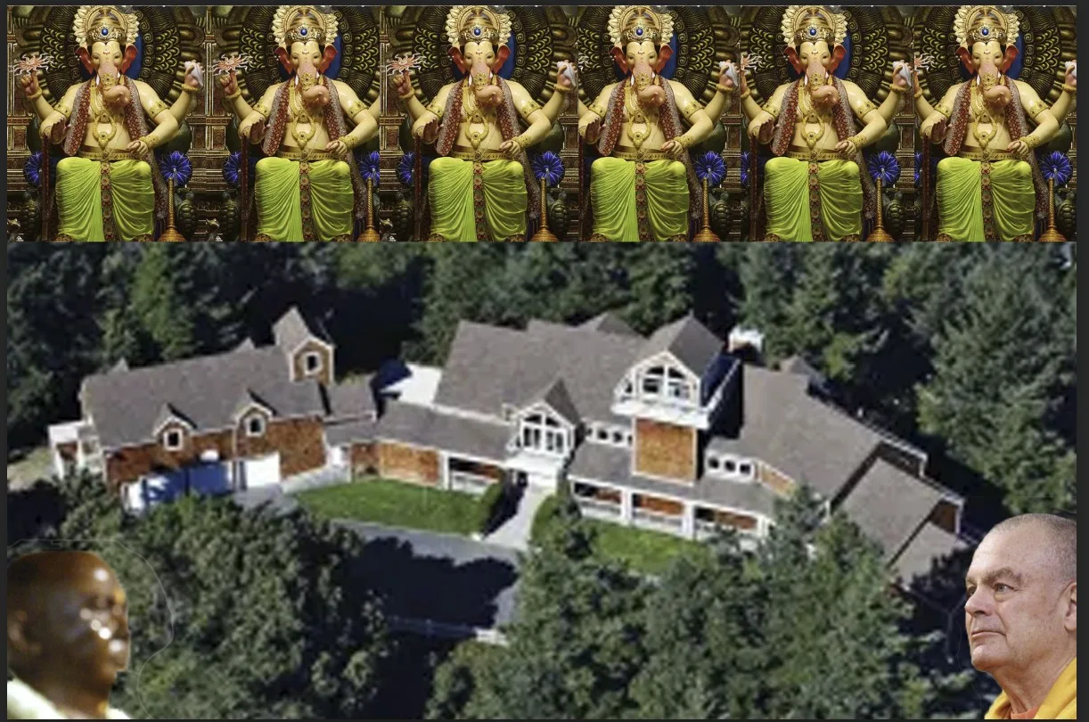 Swami ‘Not Selling Anything’ on His Path to Wealth