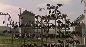 Prosecutors allege two birds conspired for 12 years to force the other birds to labor to bring them worms, but none of the birds brjght them any worms but ate the worms whenever they found them. With what crime should the two birds be charged?