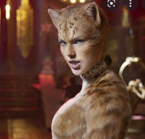 Do cats have masters and slaves too?