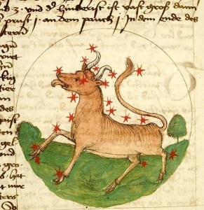 Taurus