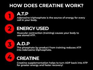 creatine