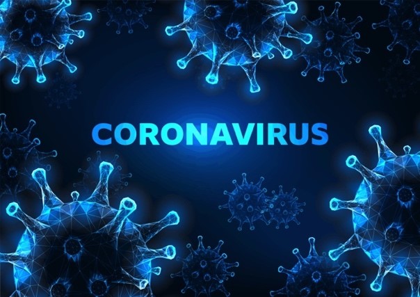 Is the Coronavirus a Hoax, Greatly Exaggerated, or a Fell Disease That Threatens Everyone? Part 1