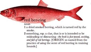 It might be all a red herring meant to distract from the obvious that Raniere is a pedophile.
