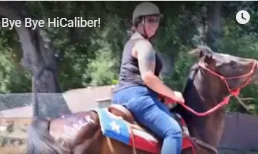 More on Hi Caliber- and Knutilla: ‘Who’s caring for the 20-30 horses now?