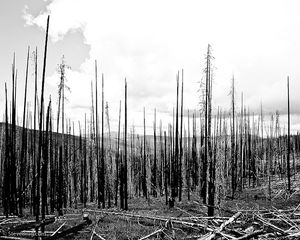 FS-3820 near Lone Frank Pass, Okanogan NF