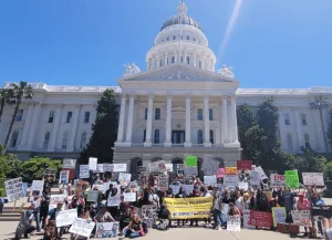 Rally at the California State Capitol to Stop CPS Corruption