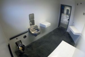 Typical SHU cell in the BOP