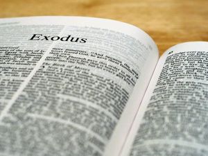 Image result for book of exodus"