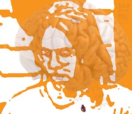 rsanny 7