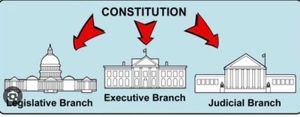 constitution