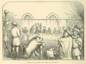 A criminal trial of a non-human animal took place in Europe from the thirteenth century until the eighteenth. It is estimated that as few as 3 percent of animals charged were ever acquitted. This is about the same conviction rate as human animals charged by the Department of Justice.