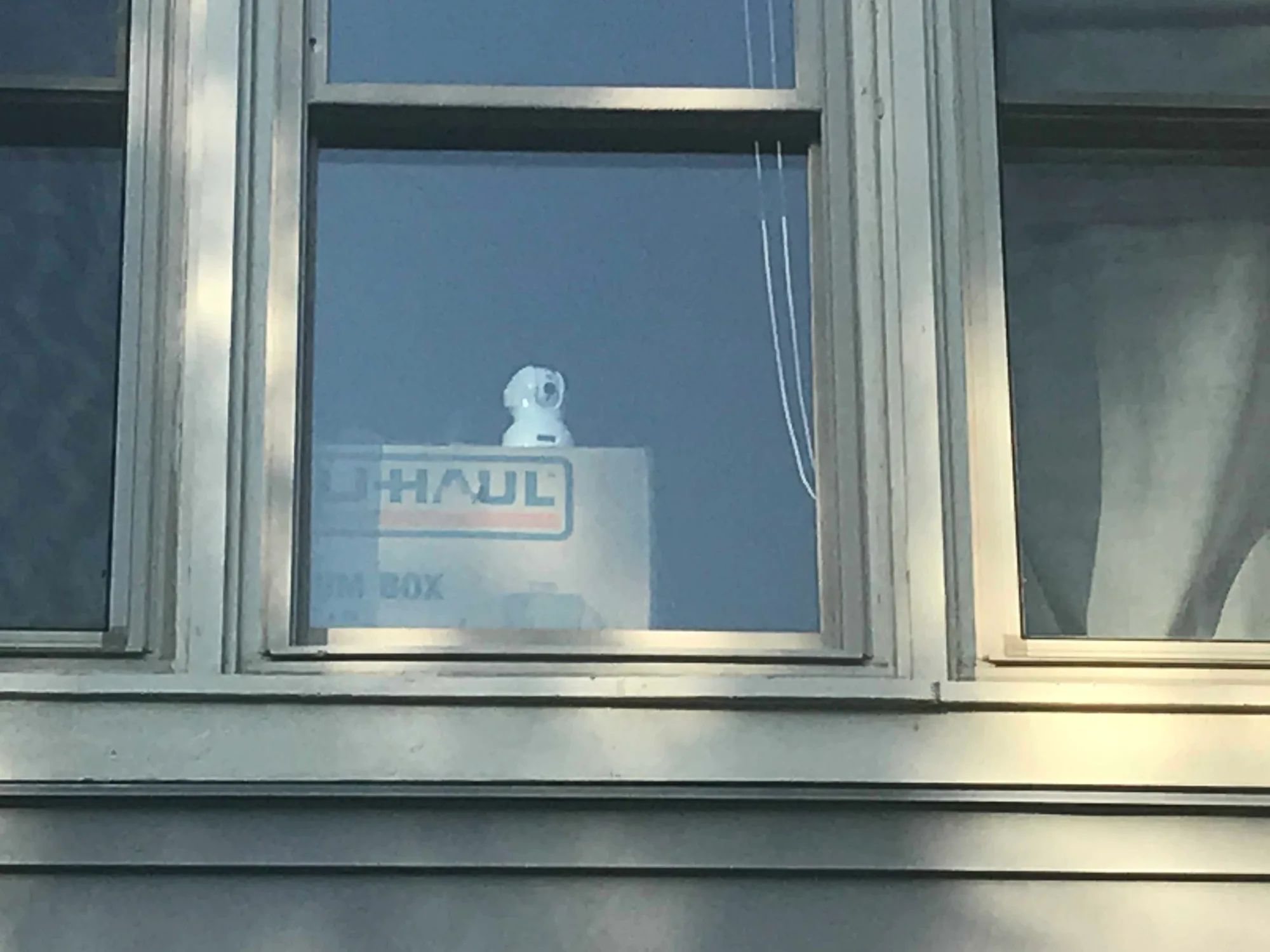 Laura Darby – a few notes on Knox Woods and its NXIVM folks